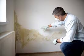 Best Emergency Mold Remediation  in Westbrook, ME